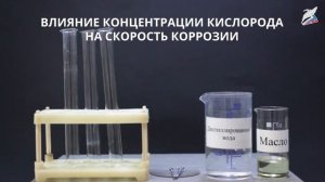 Коррозия металлов и её предупреждение