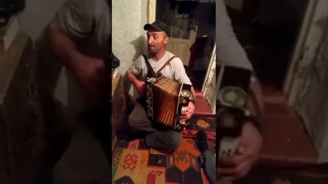 Гасанов Сейран смотреть онлайн