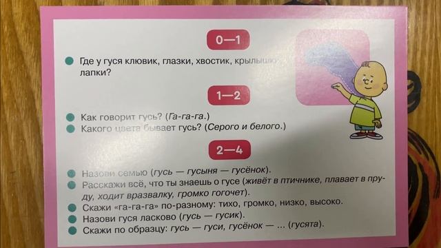 Наполнение и организация РППС для работы с детьми с ОВЗ смотреть онлайн