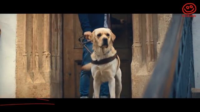 15 Creative Funny and Loving Compilation TV Ads Commercial Coiiections XXIV смотреть онлайн