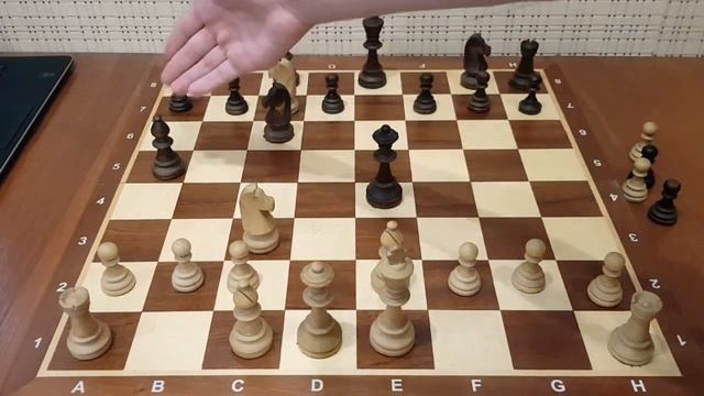 Самая сильная ЛОВУШКА в начале партии! Несколько ходов и вы победили.Шахматы ловушки в начале парти смотреть онлайн