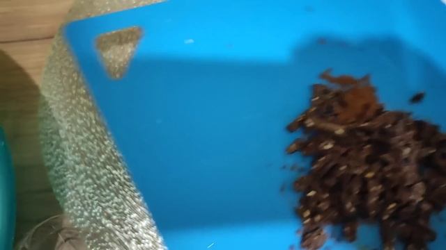 СНЕГУ ПОДВАЛИЛО, ПЕКУ ТЫКВЕННО-ШОКОЛАДНЫЙ КЕКС/НА ЗАВТРАК РЫБНЫЕ ОЛАДЬИ. смотреть онлайн