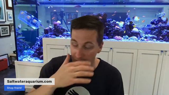 🔴 LIVE: CO2 Scrubbers, Starter Corals, CA Levels & More! Reefkeeping Q&A Session w/Mr Saltwater Tan смотреть онлайн