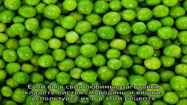 Как приготовить зеленый горошек в домашних условиях на зиму: лучшие рецепты и полезные советы смотреть онлайн
