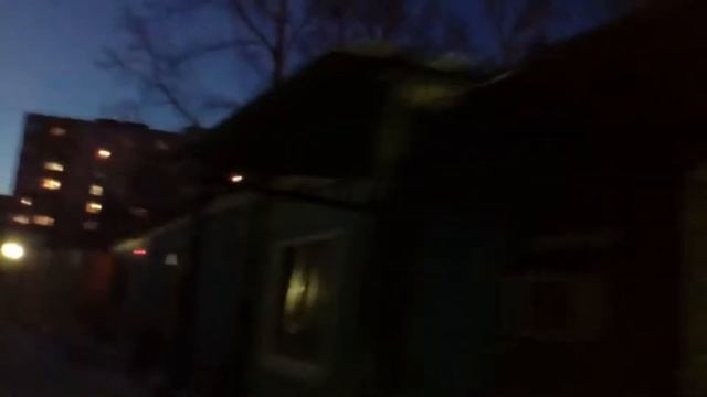 Тараканы на продуктовом рынке Али МТЦ "Карла Маркса" г.Хабаровск смотреть онлайн