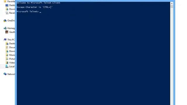 telnet demo смотреть онлайн