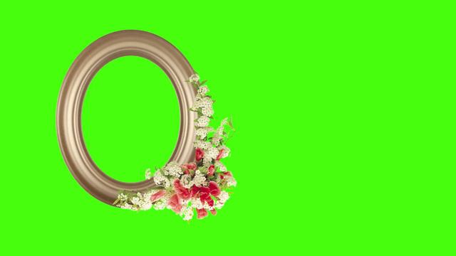 Футаж рамка хромакей footage frame hromakey 001381 смотреть онлайн