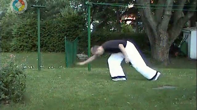 Hapkido: Side Roll, Intermediate, Side View