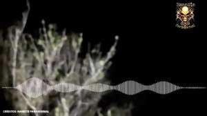 СУЩЕСТВО ОБОРОТЕНЬ - СНЯТЫЙ НА КАМЕРУ