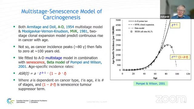 NSS 2022.03.18 - Richard Richardson "Multistage-senescence Model of Carcinogenesis" смотреть онлайн