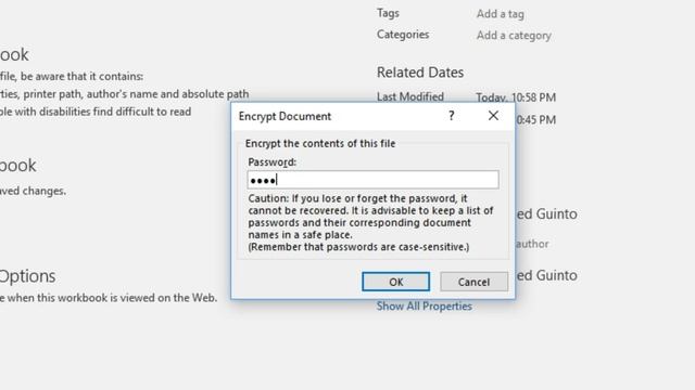MS Excel - Password Protecting your Files смотреть онлайн