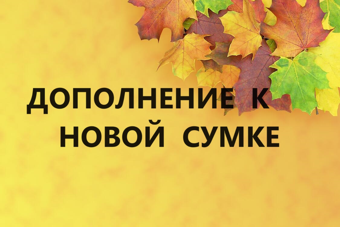 Чехол для очков.Доработка остатков и обрезков.(2023г) смотреть онлайн