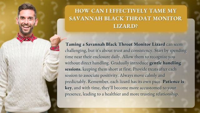 How Can I Effectively Tame My Savannah Black Throat Monitor Lizard? смотреть онлайн