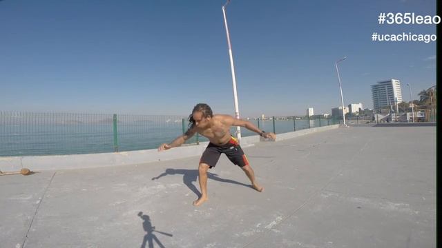Entry 228 #365leao Mestre Bimba Sequencia with variation Pts 1-4 смотреть онлайн