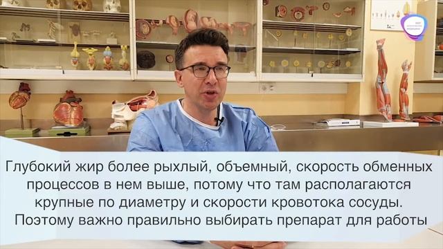 Анонс лекции анатома к.м.н. Иванова Алексея Анатольевича "Простая анатомия сложных зон" смотреть онлайн