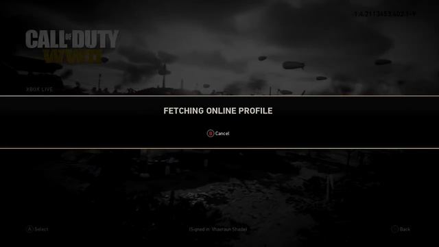 Error 4128. Fixes and Patience for Call of Duty WWII смотреть онлайн