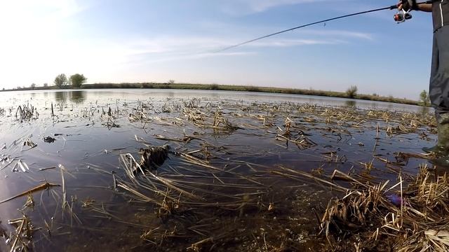 Выходы и атаки щуки на поверхностные приманки смотреть онлайн