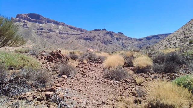Teide National Park. Tenerife. смотреть онлайн