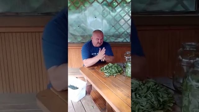 Домашние Вкусности