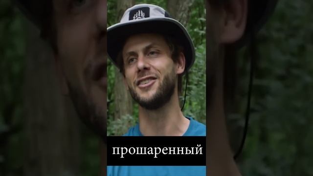 Типы походников: прошаренный #shorts by_drozd смотреть онлайн