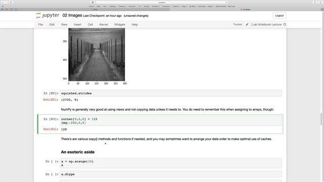 The Modern Lab Notebook: Scientific computing with Jupyter and Python. смотреть онлайн