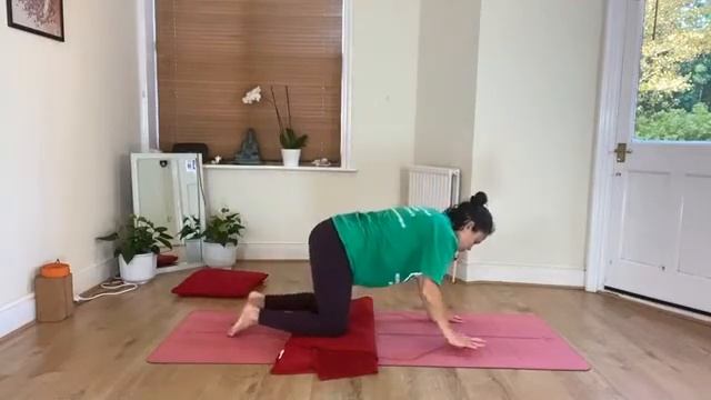 Yoga FOR PARKINSON’S: (Stabilising & Coordination) смотреть онлайн