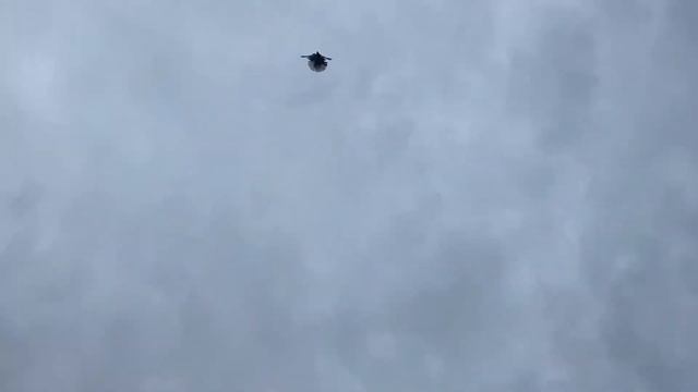 Атака  тетеревятника на посадке….