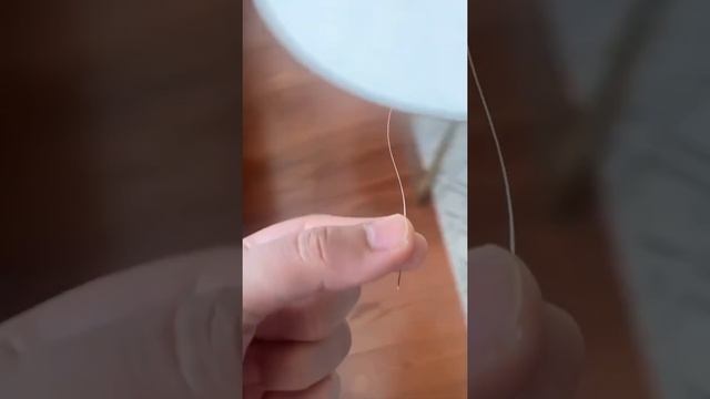 Кошачий ус принесет богатство? #shorts #приметы смотреть онлайн