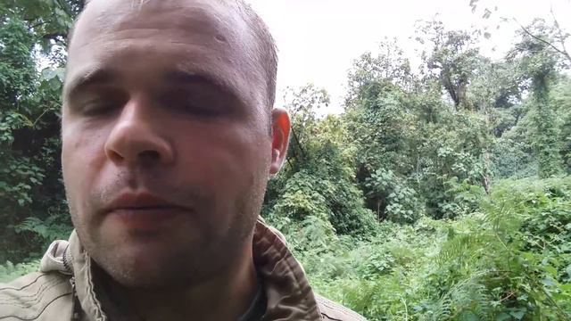 Национальный парк Кхаузи-Биега (г. Букаву, Демократическая республика Конго) Горные гориллы смотреть онлайн