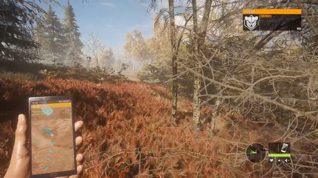 Beginners Guide Call of the Wild смотреть онлайн