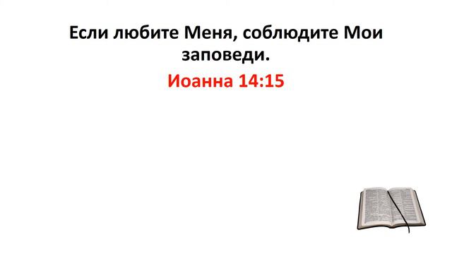 Библия, Новый Завет. Иоанна 14:15 смотреть онлайн