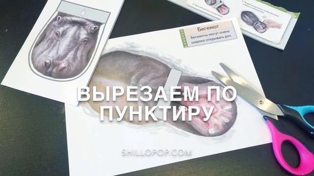 Kumon Оживи Картинку