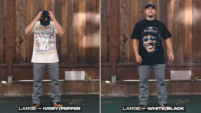 The BEST Graphic T-Shirts, EVER. смотреть онлайн