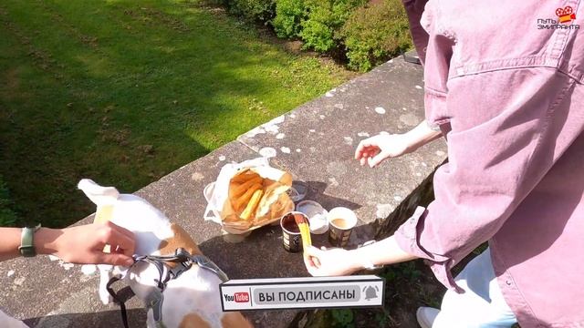 САНТЬЯГО ДЕ КОМПОСТЕЛА (1 ЧАСТЬ) | VLOG 47-1 | #галисия #сантьягодекомпостела #путьсантьяго смотреть онлайн