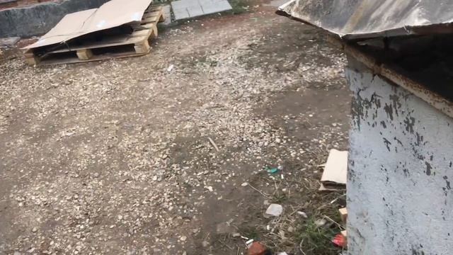 Сломалась кпп на Мерседес едем на ремонт смотреть онлайн