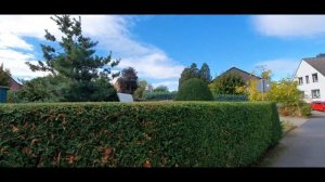 НЕМЕЦКАЯ ДЕРЕВНЯ/Жизнь в Германии, небольшой обзор нашего посёлка