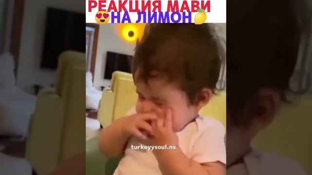 Ханде Эрчел[МАВИ/MAVI]