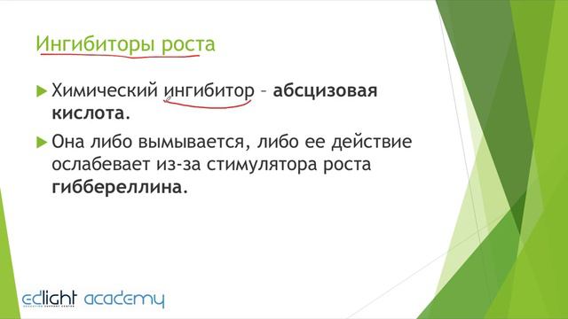 29. Рост и развитие. Часть 4