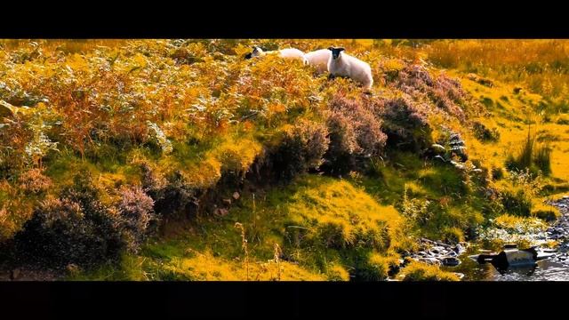 Scotland in Fall in 4K - Panasonic Lumix S5 x S 20-60mm Lens смотреть онлайн