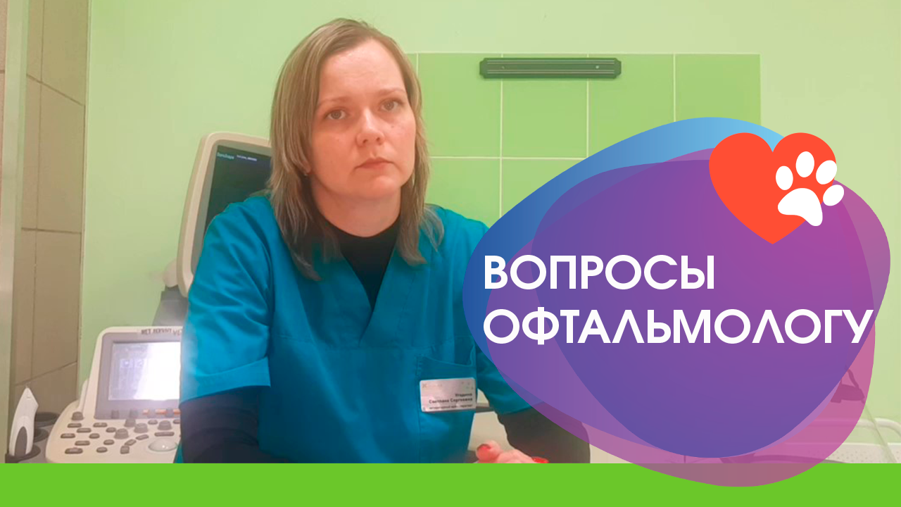 Частые вопросы ветеринару офтальмологу
