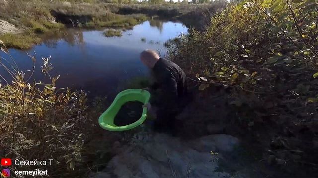 Разведение раков в пруду на даче: Выпускаем речных раков в ПОЧИЩЕННЫЙ пруд на даче. смотреть онлайн