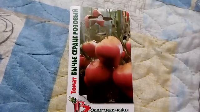 Ознакомление с семенами томата Бычье сердце розовое смотреть онлайн