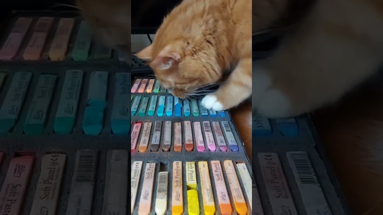 "Рисуем" с котом. Член союза художников Степан