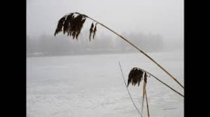 Сипкино... Зимняя дорога... Музыка и фото Вячеслава Орехова