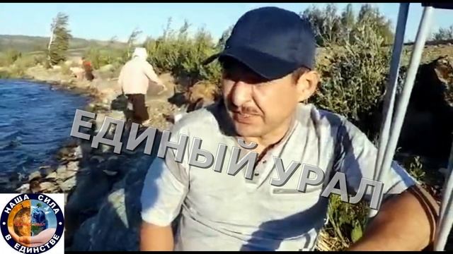 Дохнет рыба на озере Графское. смотреть онлайн