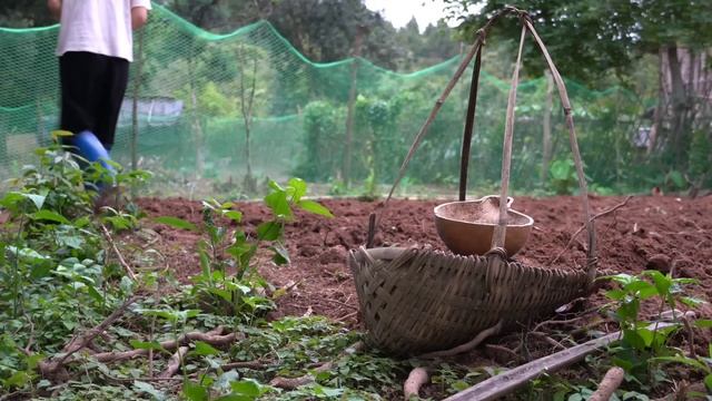 Full Video: 75 Days of farm life, Gardening, Farming, Cooking, Animal Care | Sơn Thôn смотреть онлайн