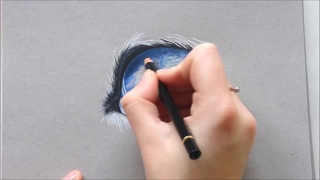 Realistic cat eye drawing with colored pencil | Leontine van vliet смотреть онлайн