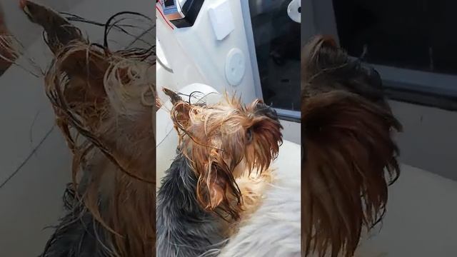 На катере (часть 1) смотреть онлайн