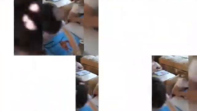 РИСОВАНИЕ ТЕМА "БЕЛКА" смотреть онлайн