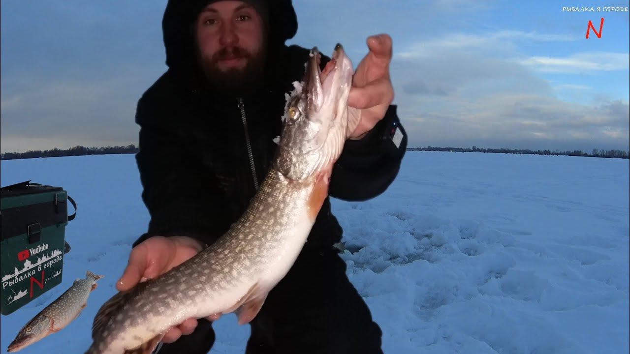 Поменял место начала клевать щука. Рыбалка на жерлицы.